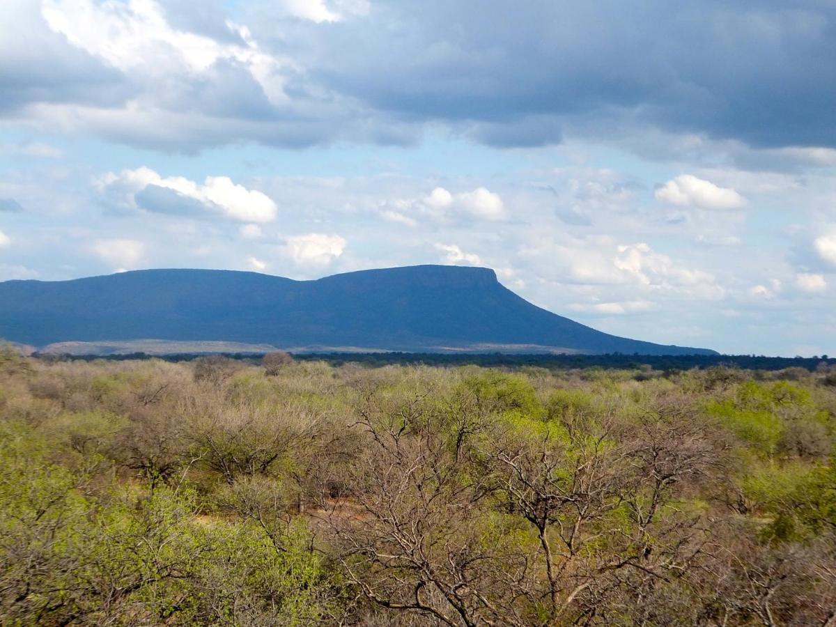 Iphofolo Lodge & Tented Camp Vivo 外观 照片