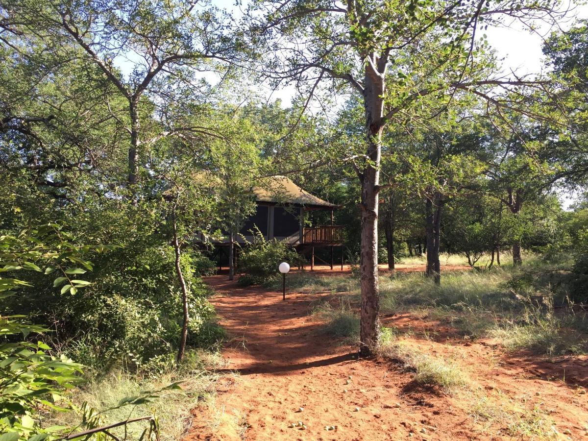 Iphofolo Lodge & Tented Camp Vivo 外观 照片