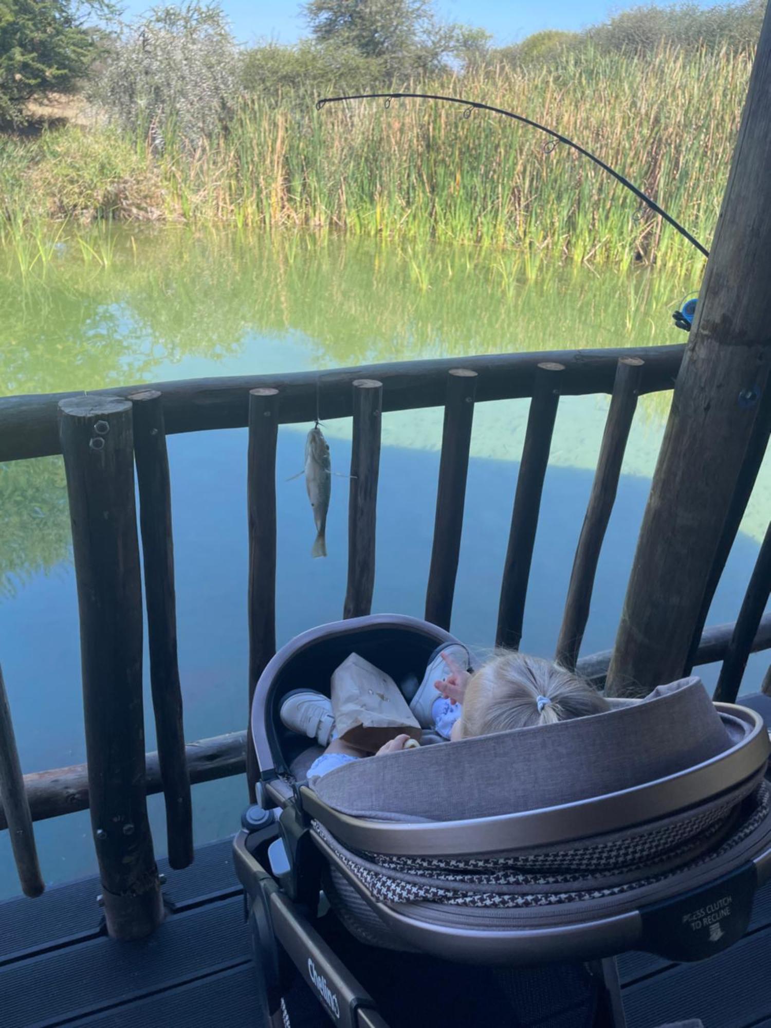 Iphofolo Lodge & Tented Camp Vivo 外观 照片