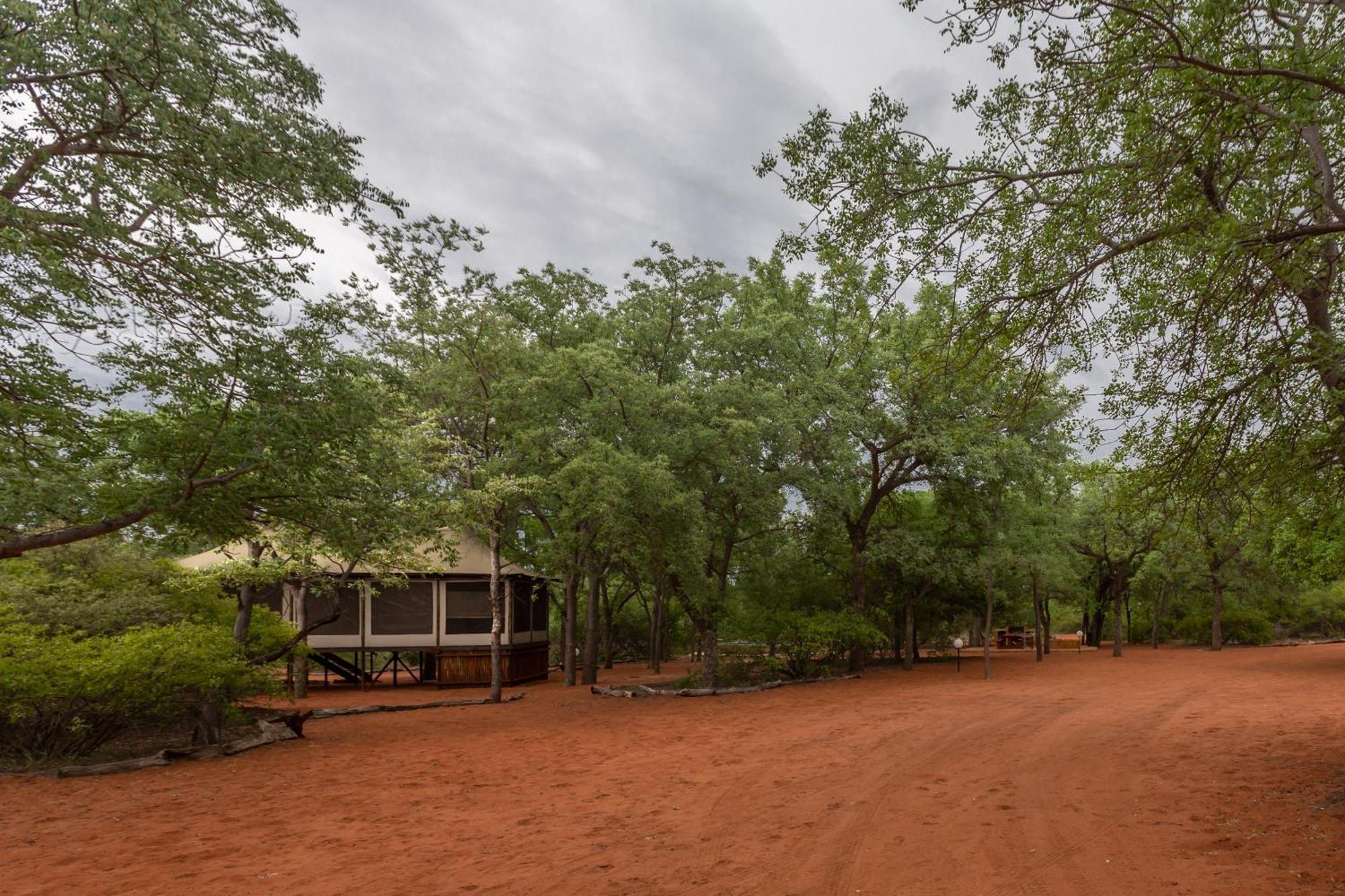 Iphofolo Lodge & Tented Camp Vivo 外观 照片