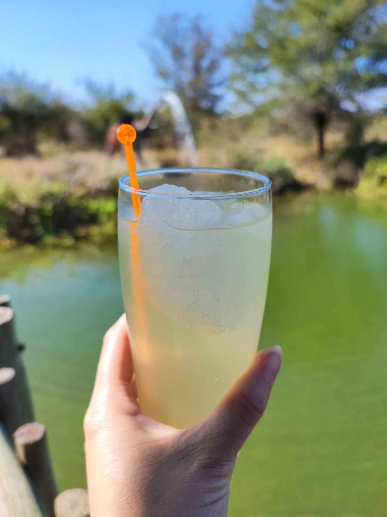 Iphofolo Lodge & Tented Camp Vivo 外观 照片